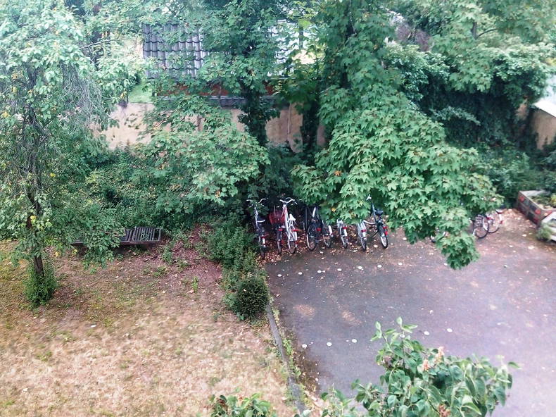 Famiglia BN 226367-2