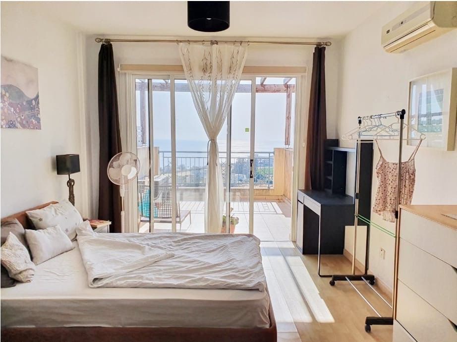 Kolokasie Kissonerga 561269