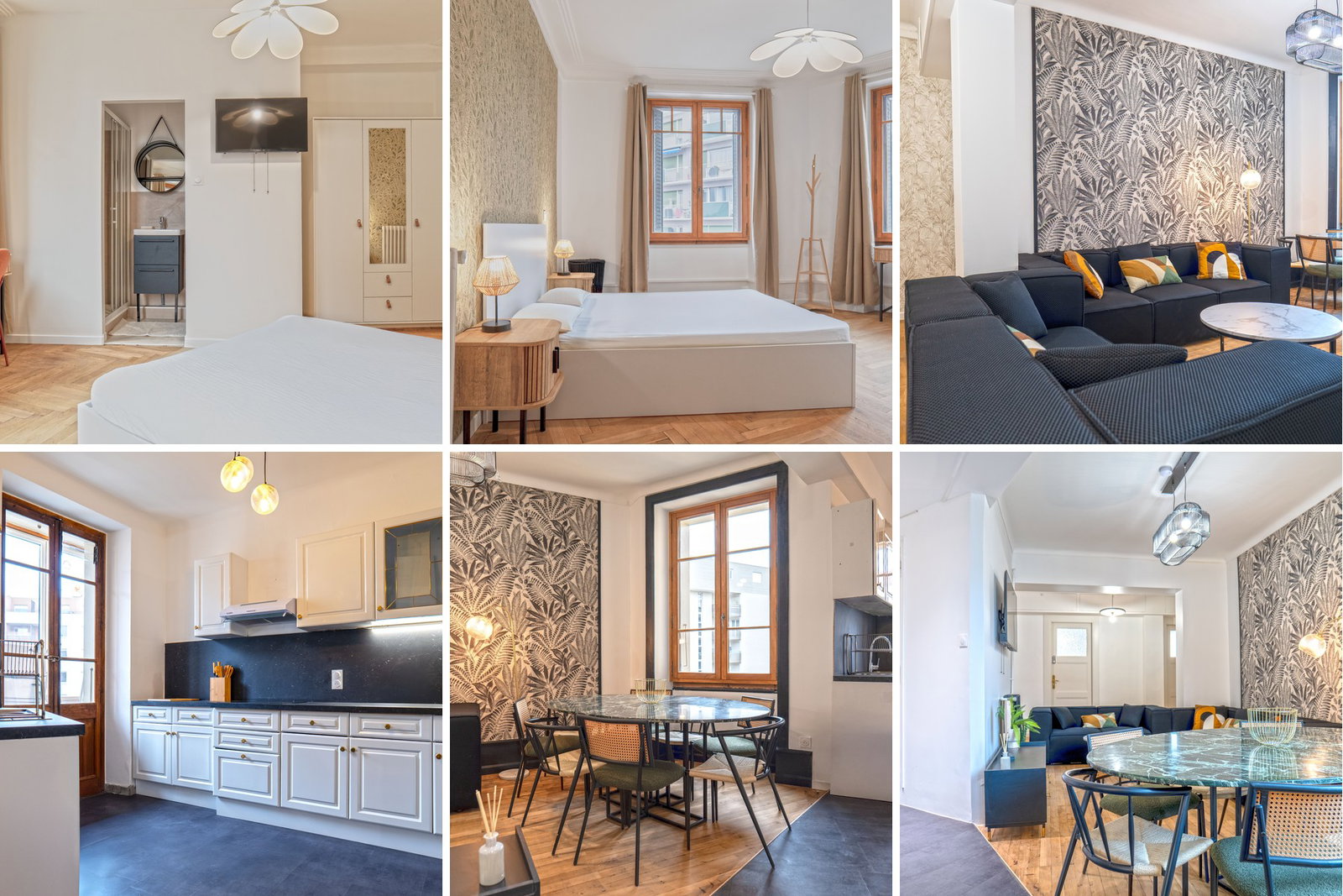 Colocation Annemasse 665013