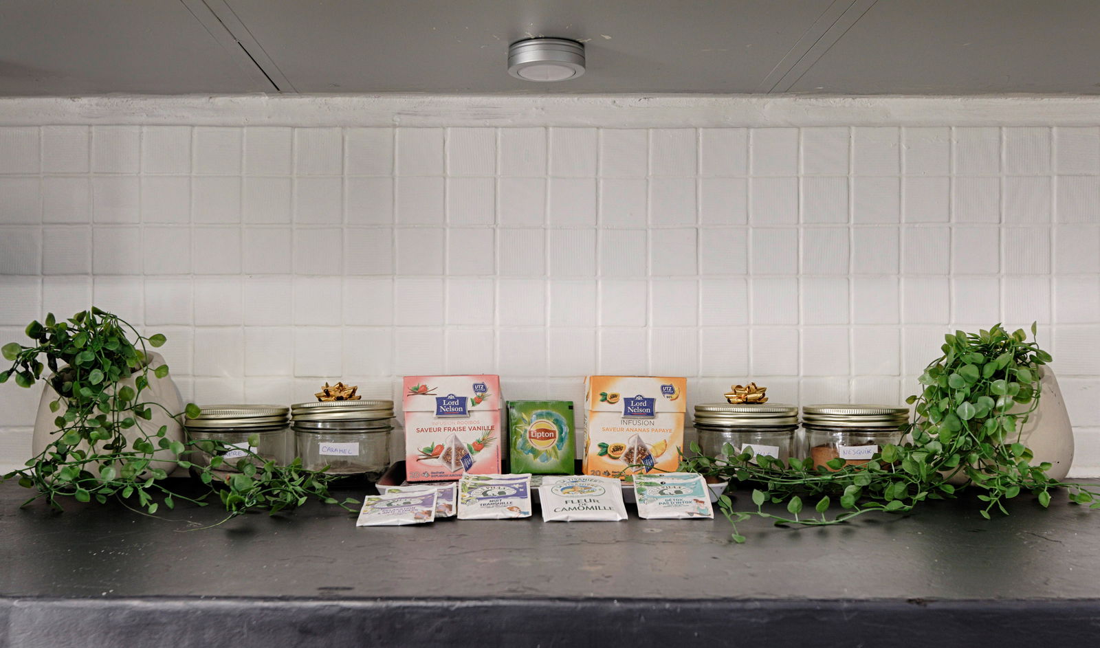 Logement Entier Montpellier 246708