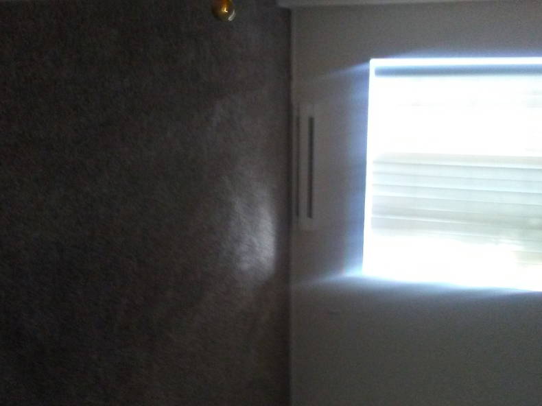 Gastgezin Portland 167456-3