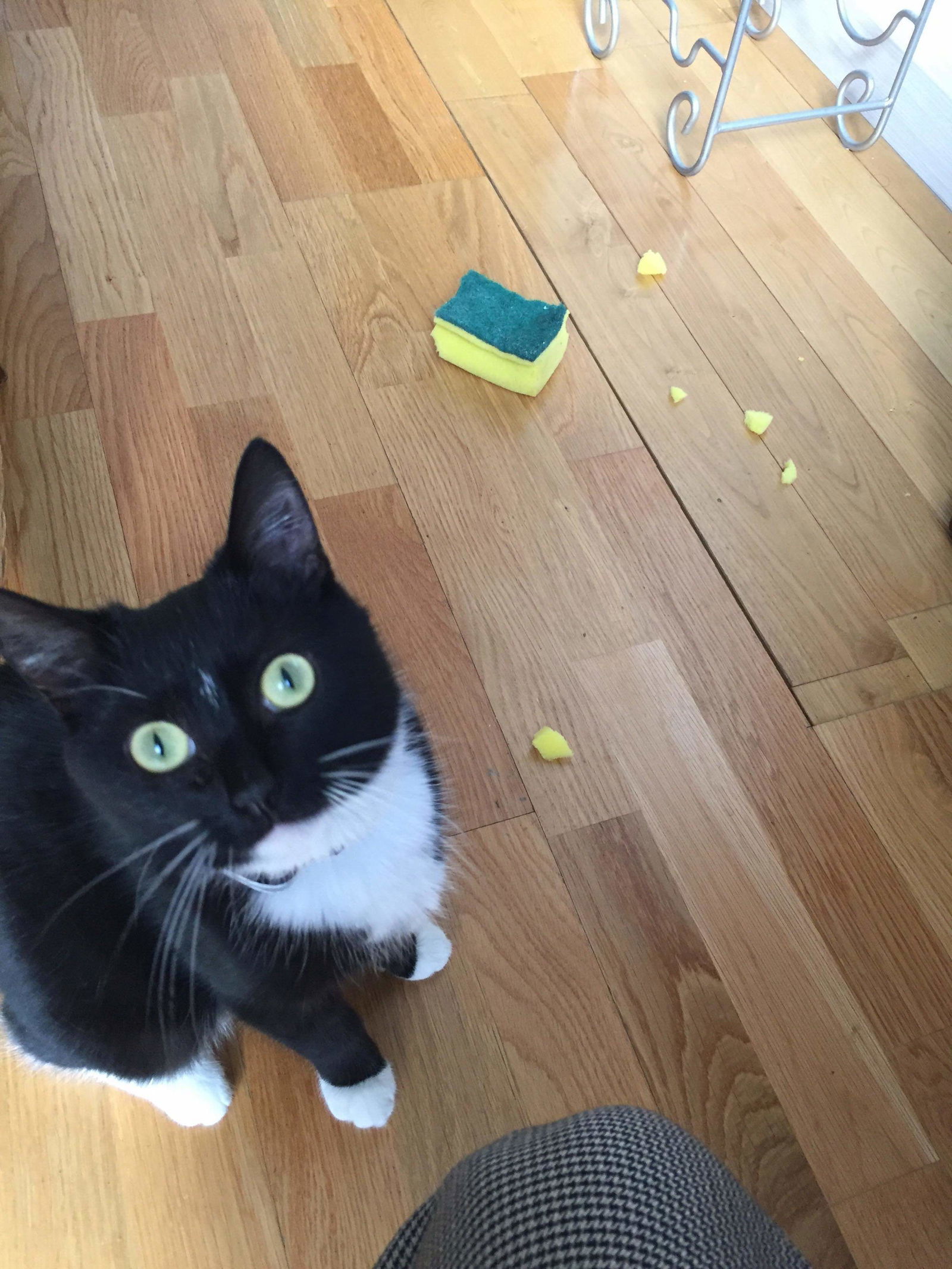 Homestay Watermael-Boitsfort 231104