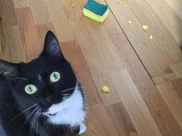 Chambre Chez L'habitant Watermael-Boitsfort 231104-7