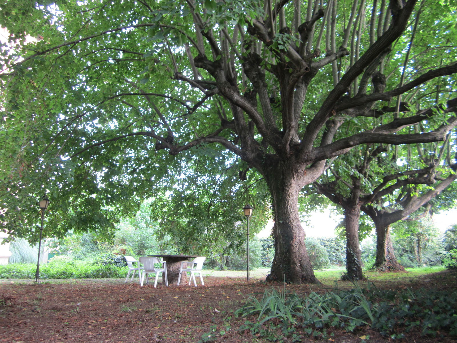 Tutta La Casa Santa Maria de Palautordera 101034
