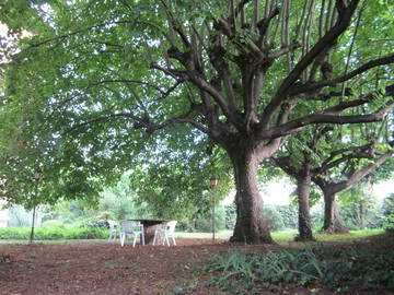 Logement Entier Santa Maria De Palautordera 101034-10