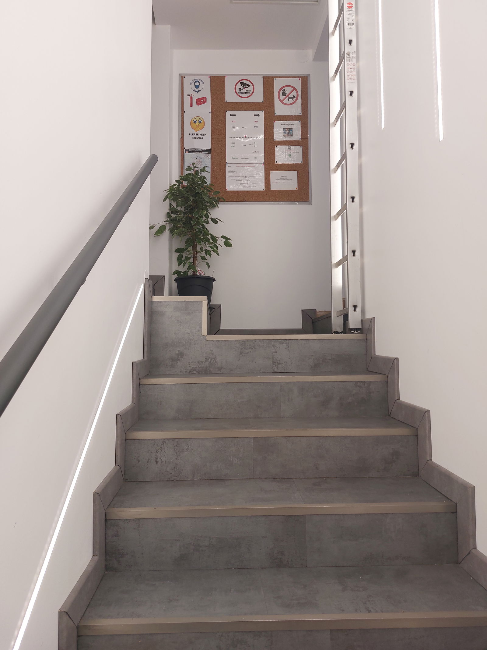 Homestay Vandœuvre-lès-Nancy 326299