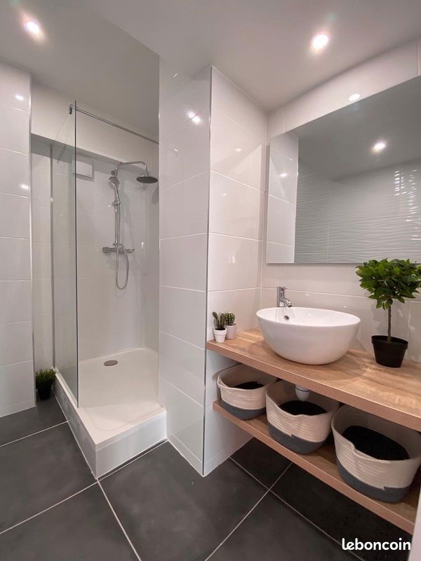 Colocation Paris 255217