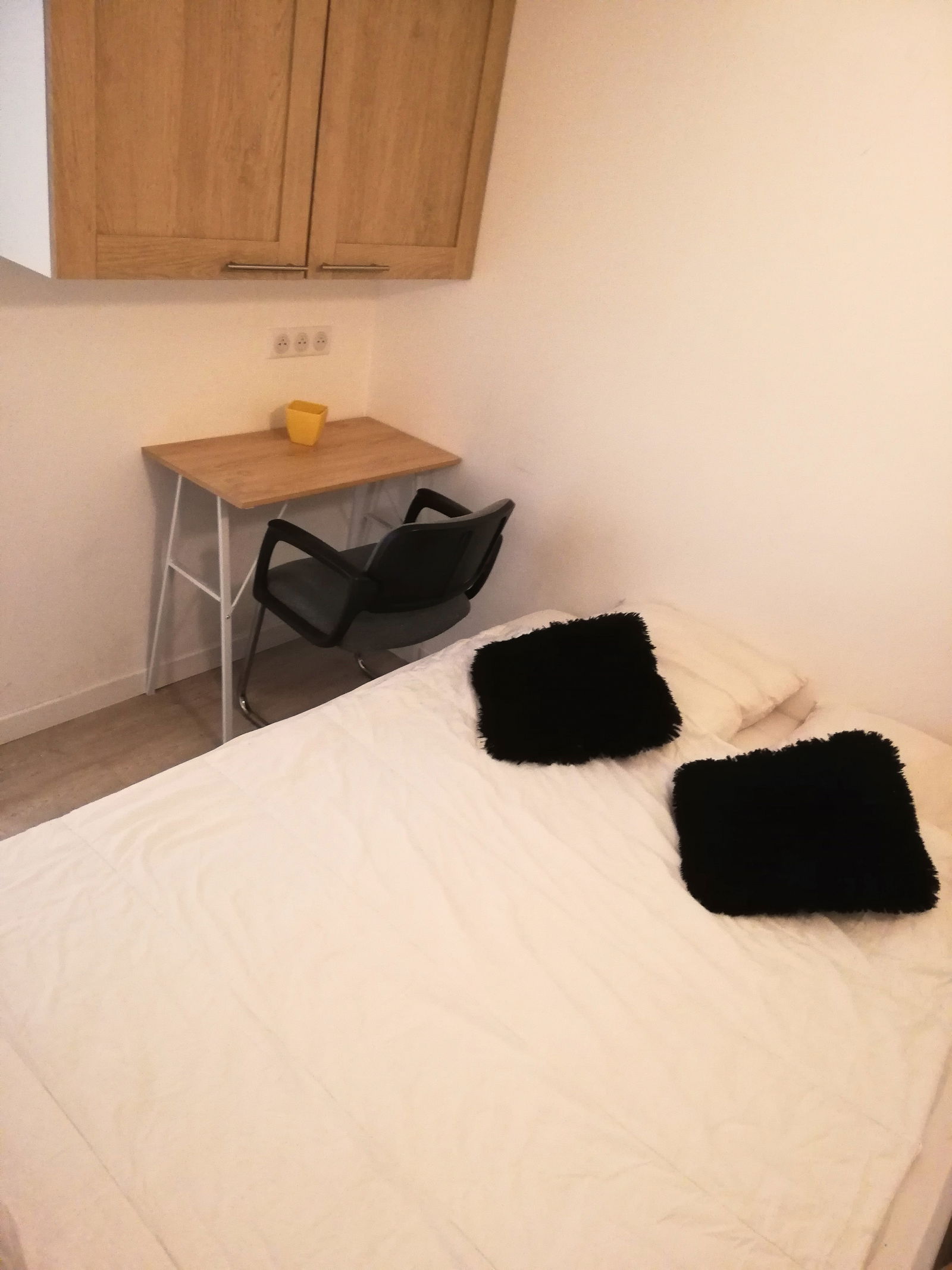 Colocation Cannes 261469