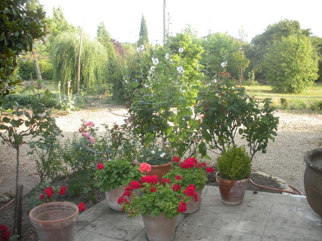 Bed And Breakfast Julienne 33308