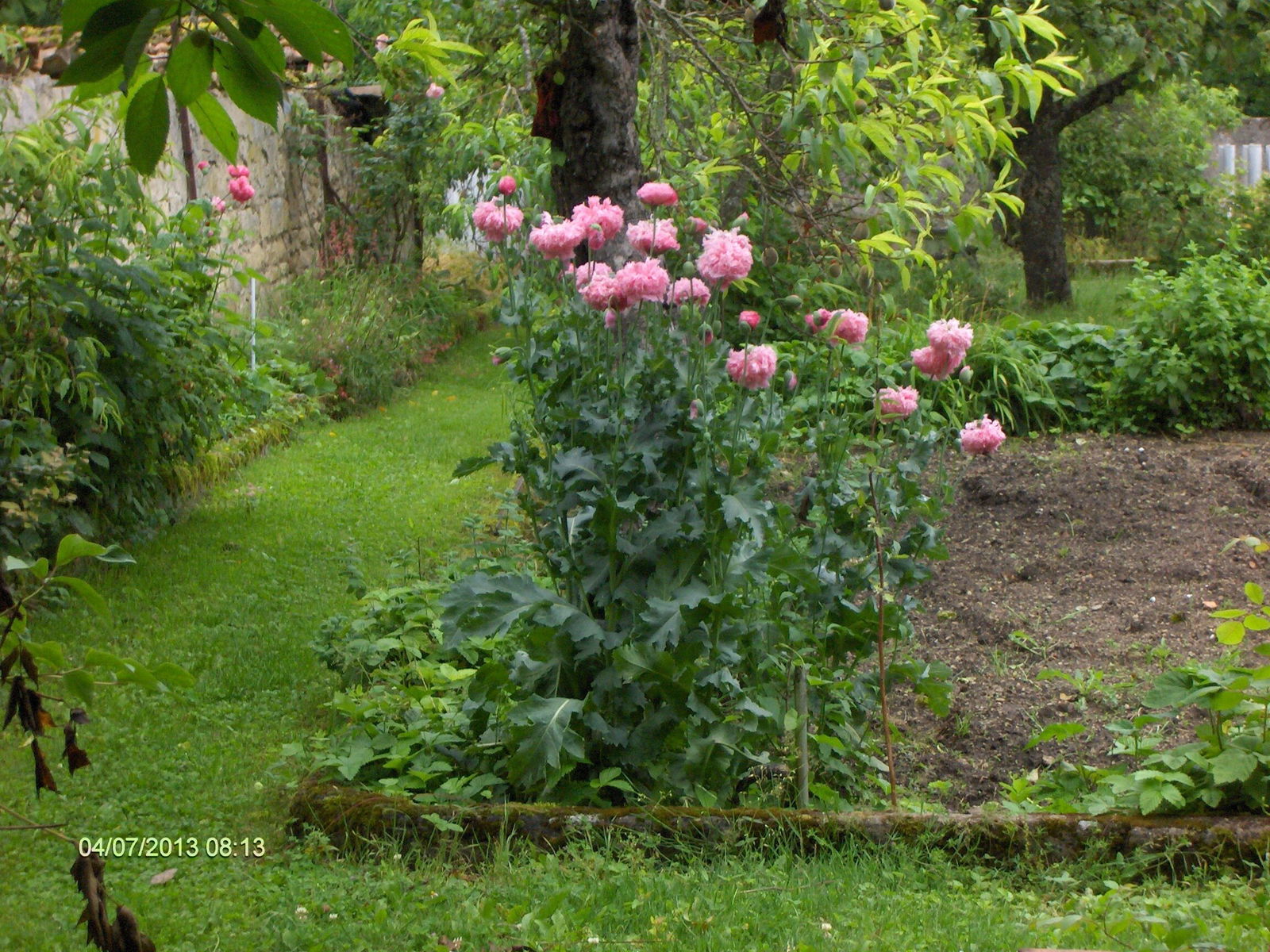 Homestay Heudicourt-sous-les-Côtes 99301