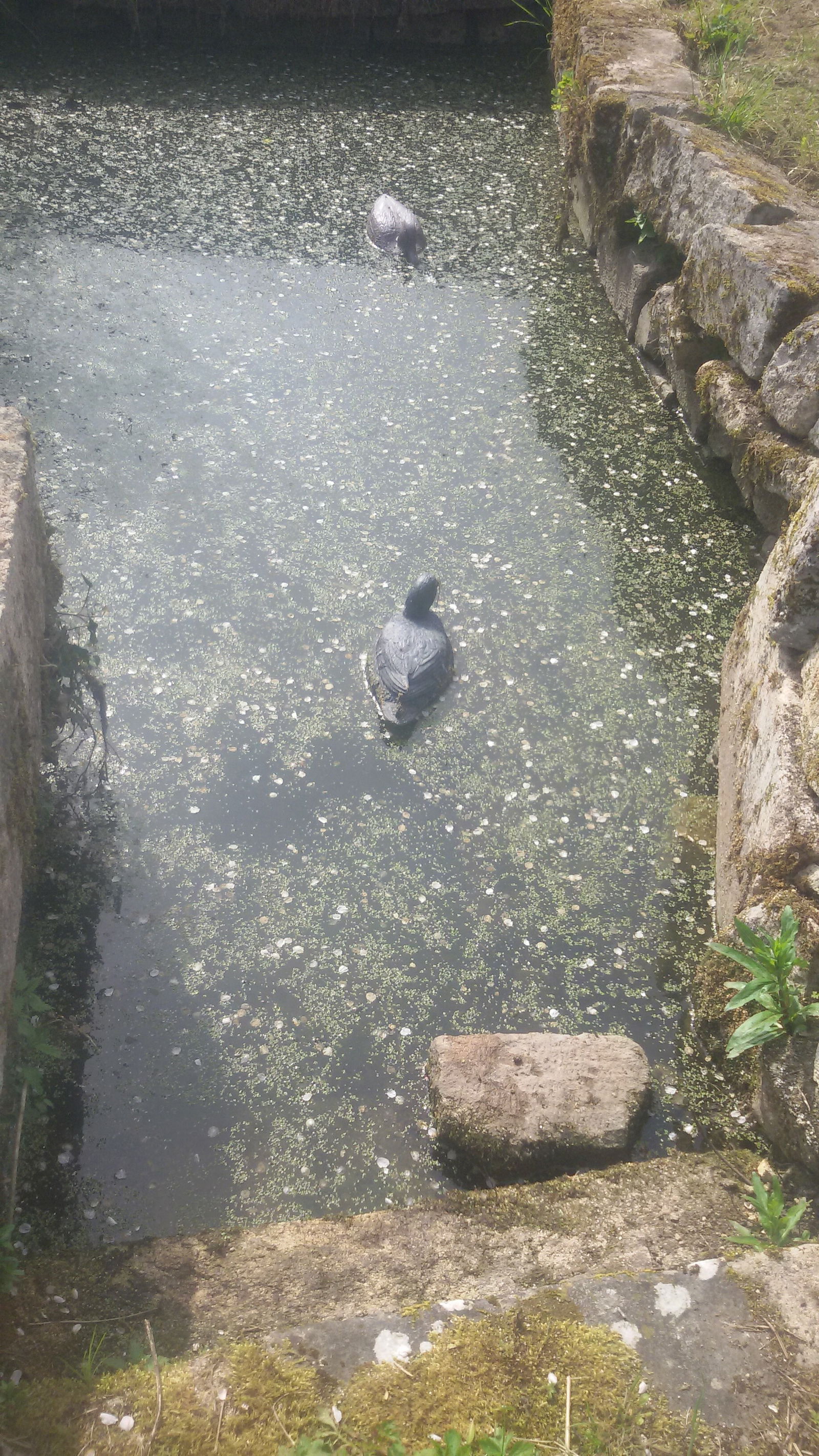 Homestay Heudicourt-sous-les-Côtes 99301