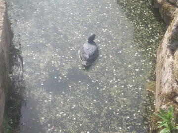 Chambre Chez L'habitant Heudicourt-Sous-Les-Côtes 99301-9