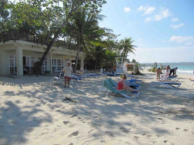 Independent Studio Negril 18498