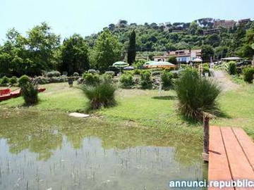 Room For Rent Castel Gandolfo 105945