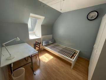 Colocation Lieusaint 260408-5