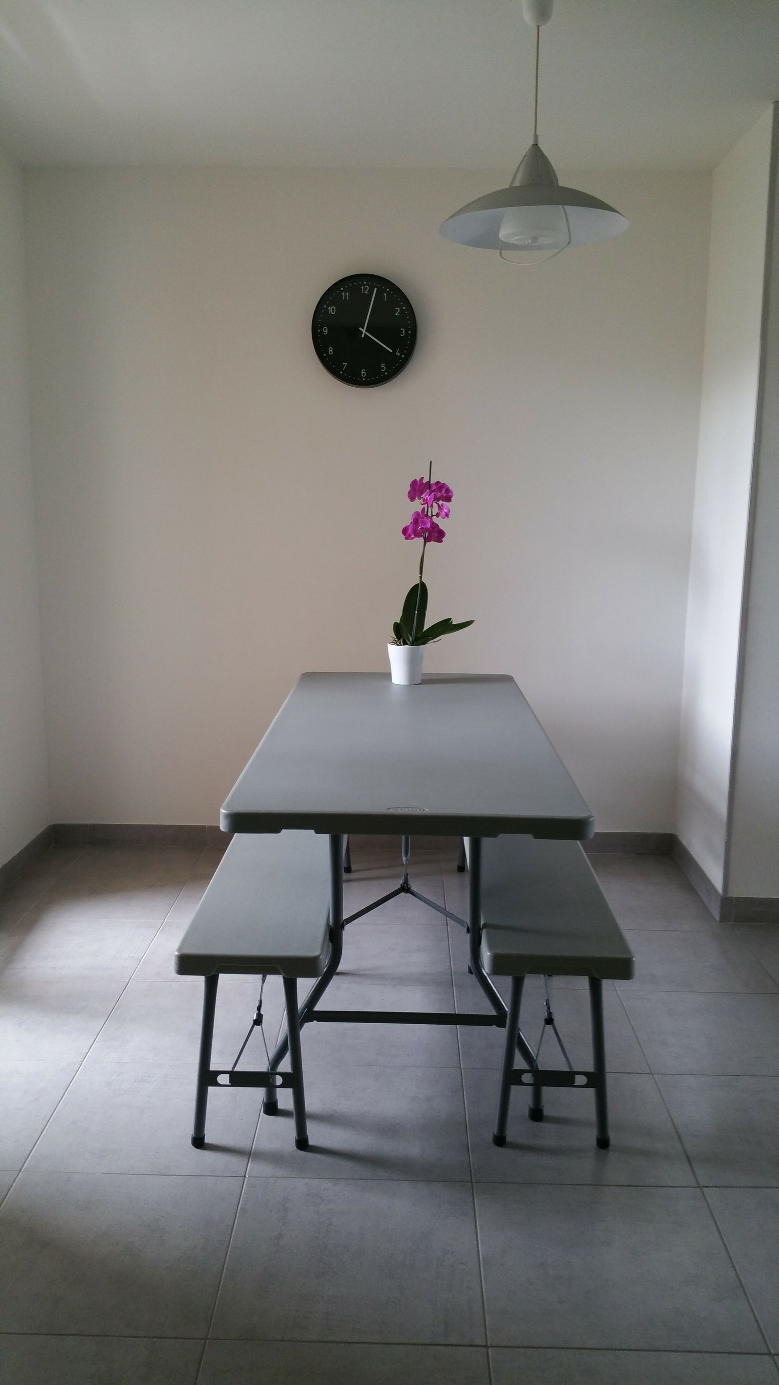 Homestay Lyon 106116