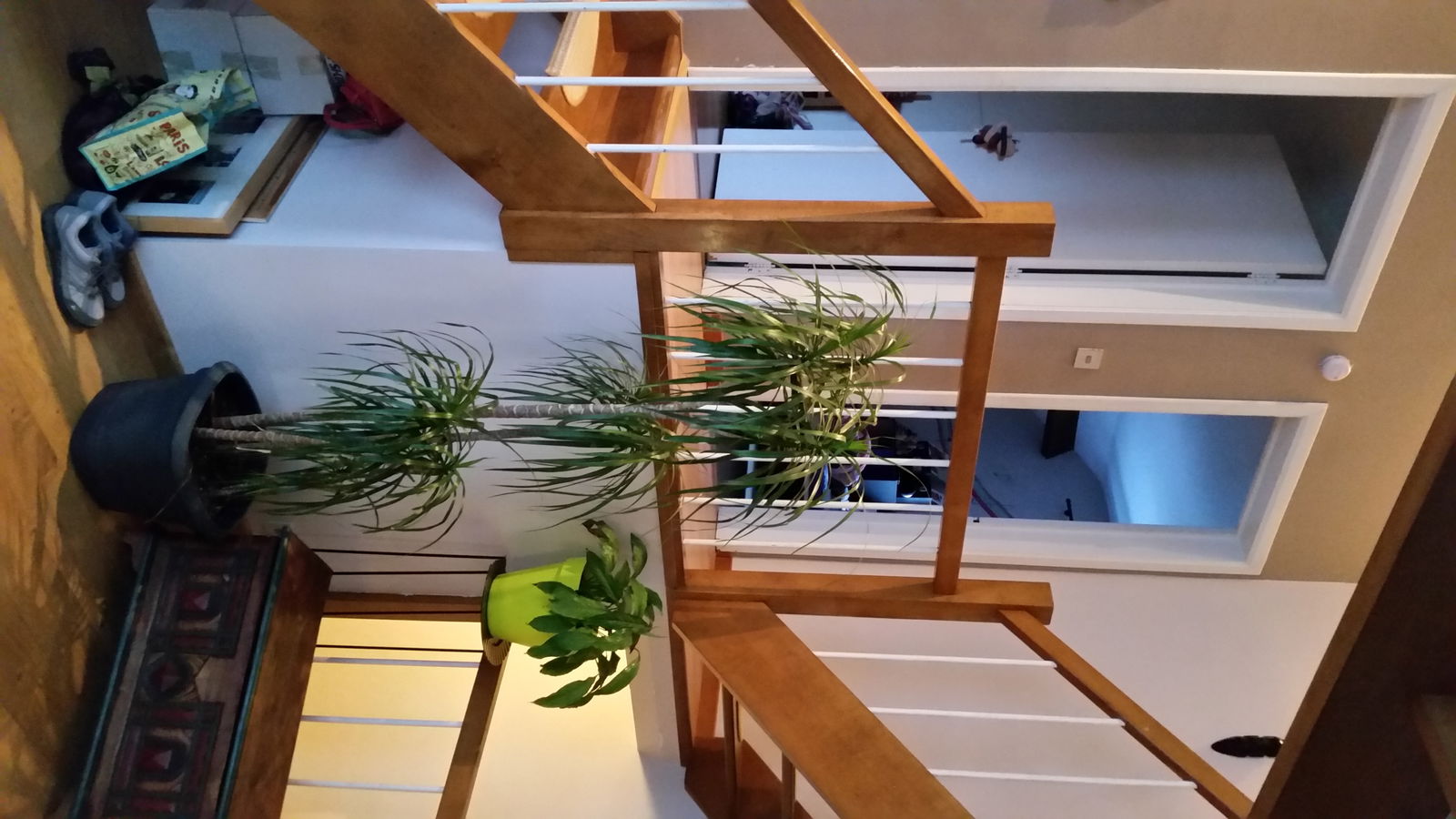 Colocation Namur 126056