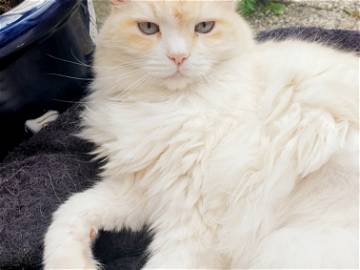 Chambre Chez L'habitant Brest 248596-8