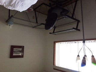 Famiglia Edmonton 226320