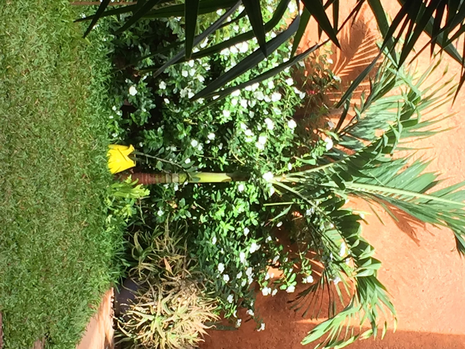 Camere Per Gli Ospiti Dakar 129792