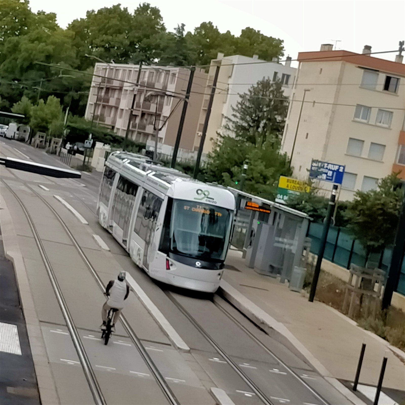 Gastgezin Avignon 266642