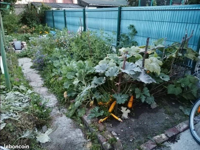 Colocation Faches-Thumesnil 515952-3