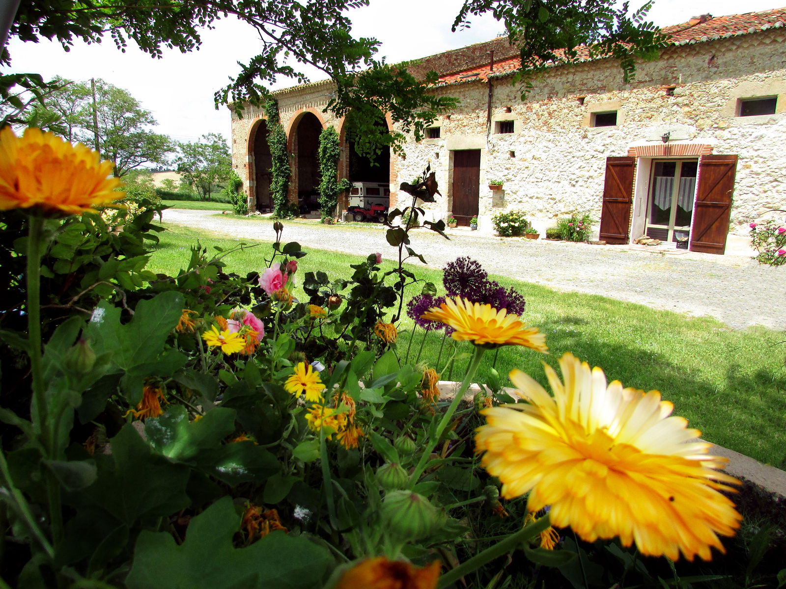 Oberoende Studio Lagarde 265429