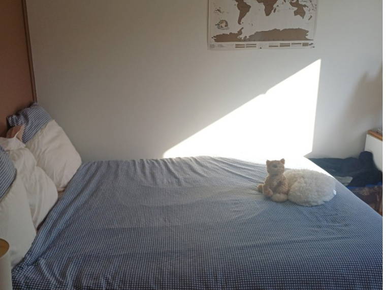 Chambre Chez L'habitant Pau 583485