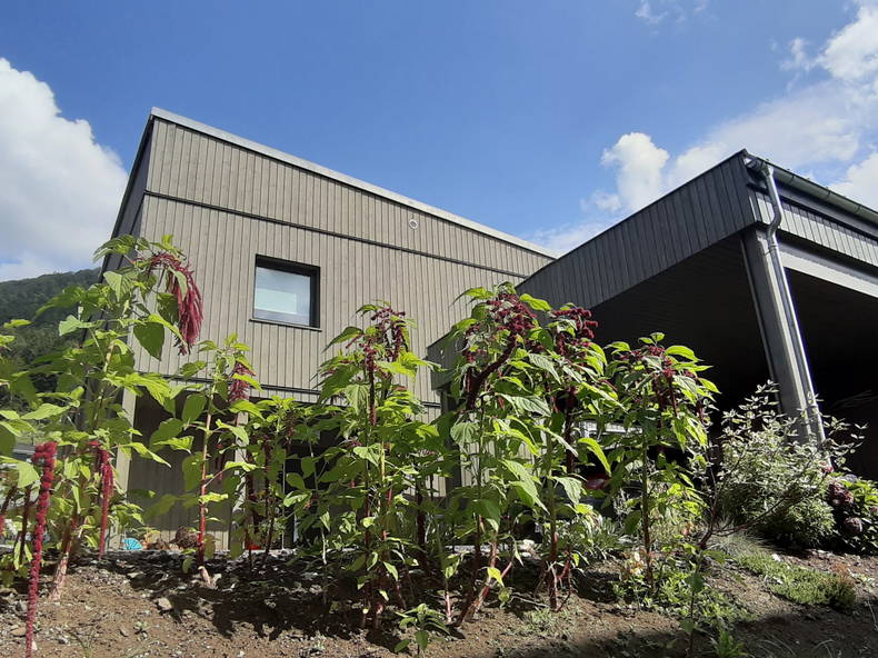 Homestay Botterens 234221-5