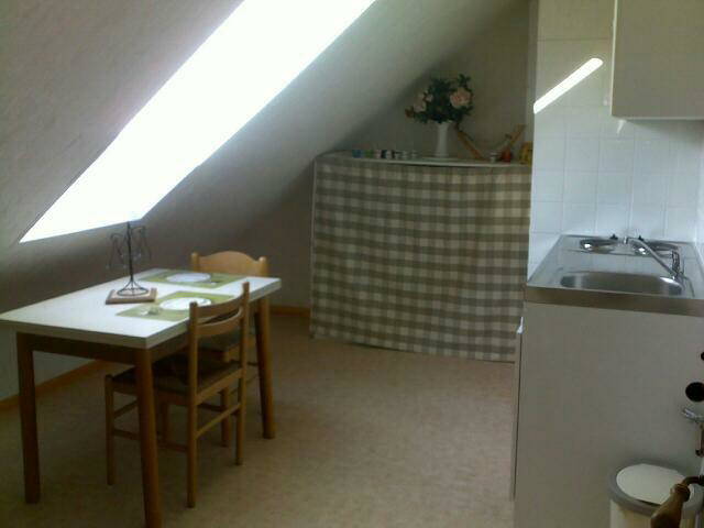 Chambre Chez L'habitant Besançon 18437-4