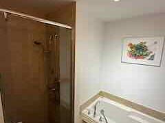 Chambre chez l'habitant à louer à Montréal - photo 8 : salle de bain-8