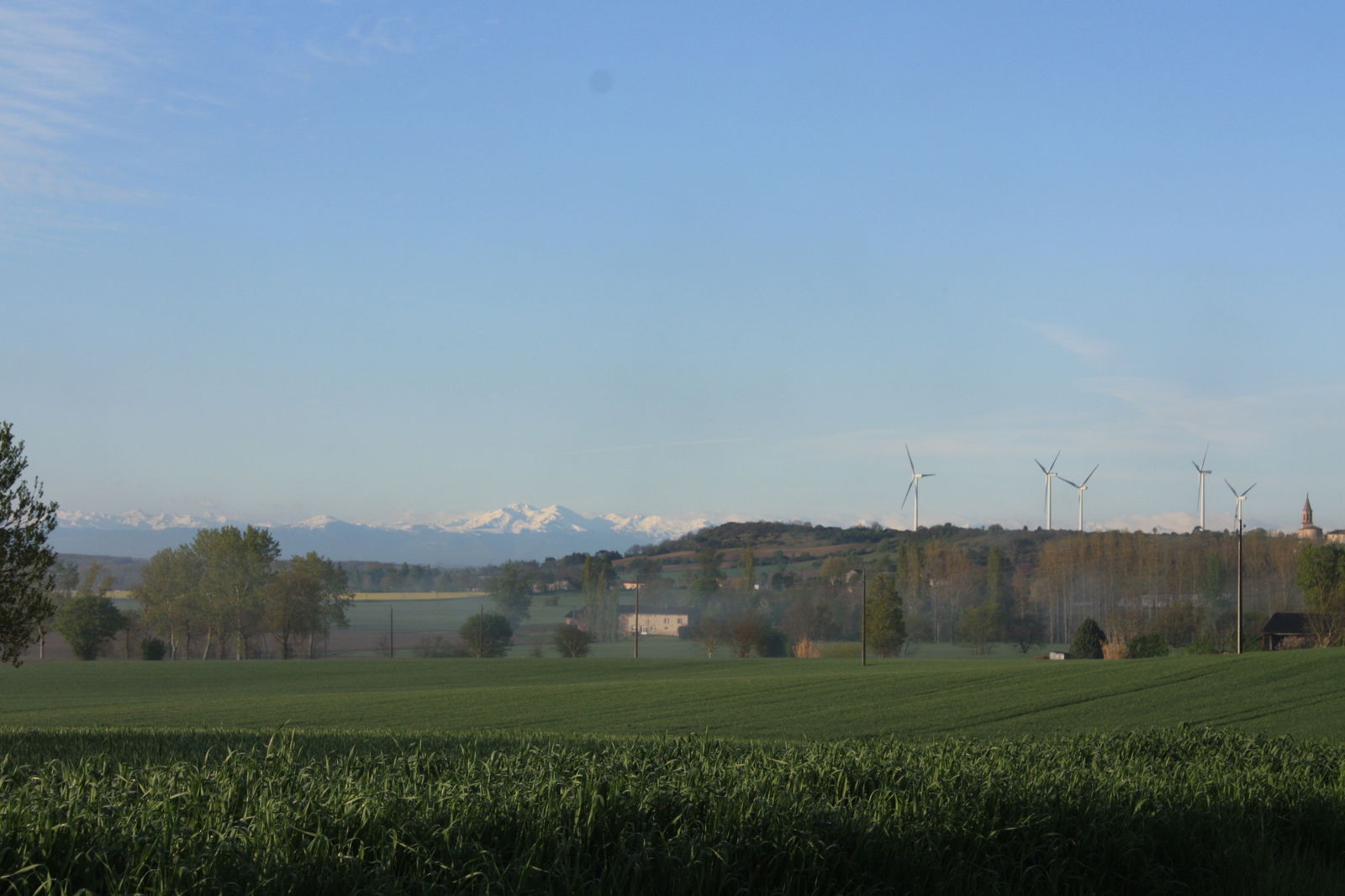 Gästrum Nogaret 80237