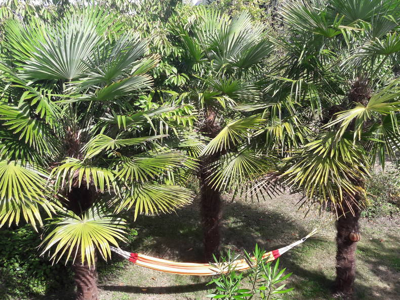 Hospedagem Em Casa De Família Sainte-Luce-sur-Loire 179480-1