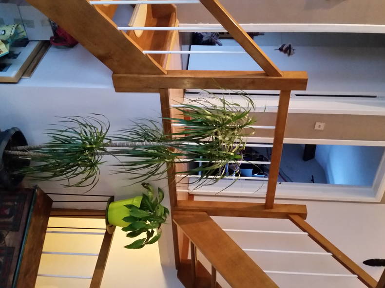 Colocation Namur 126056-5