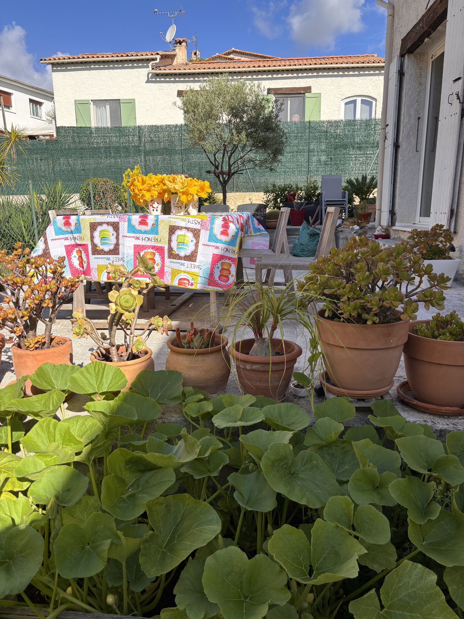 Chambre Chez L'habitant Cagnes-sur-Mer 668840
