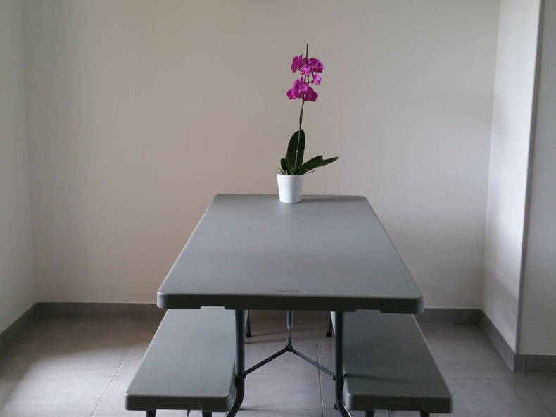 Homestay Lyon 106116-3