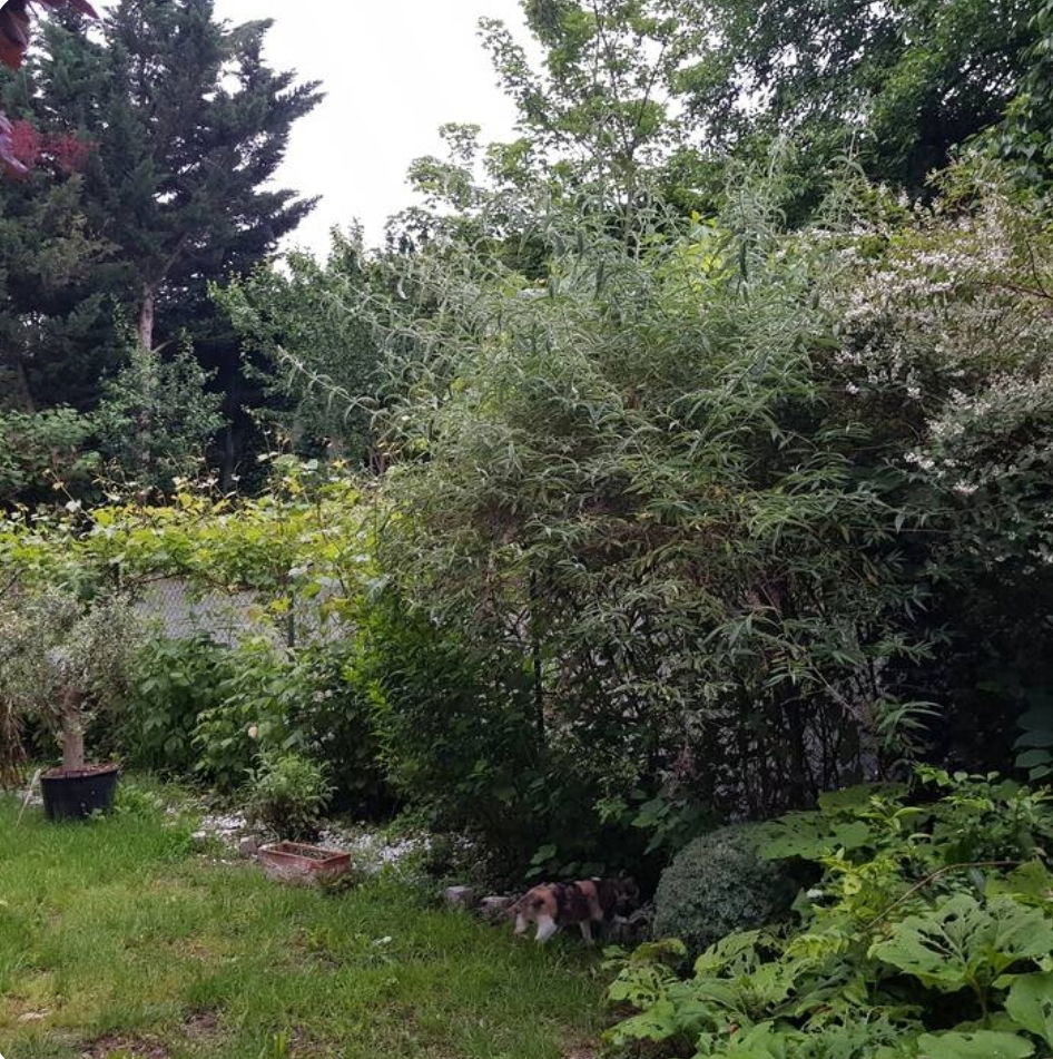 Estudio Independiente Saint-Maurice 460260