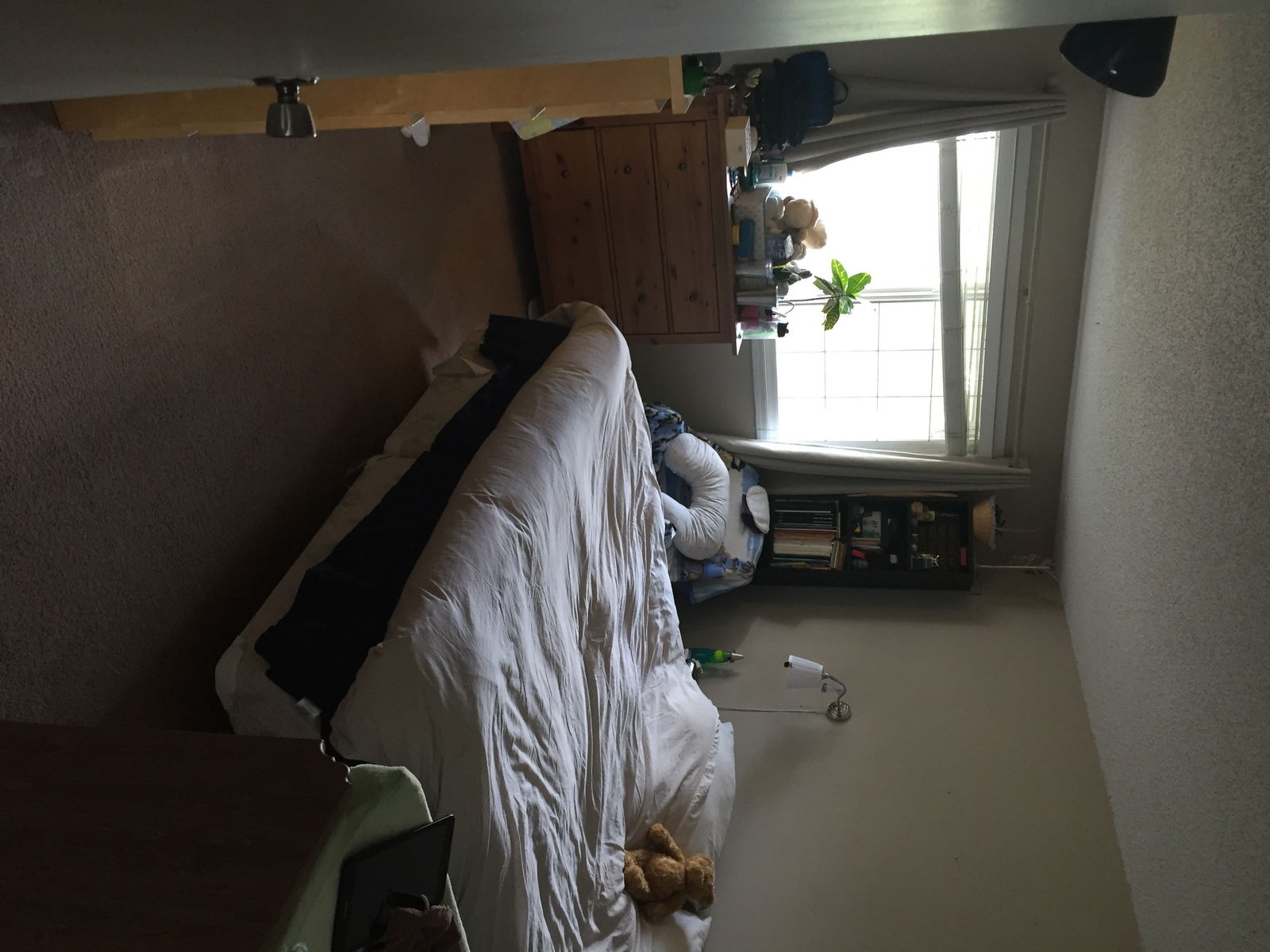 Chambre Chez L'habitant Edmonton 178547