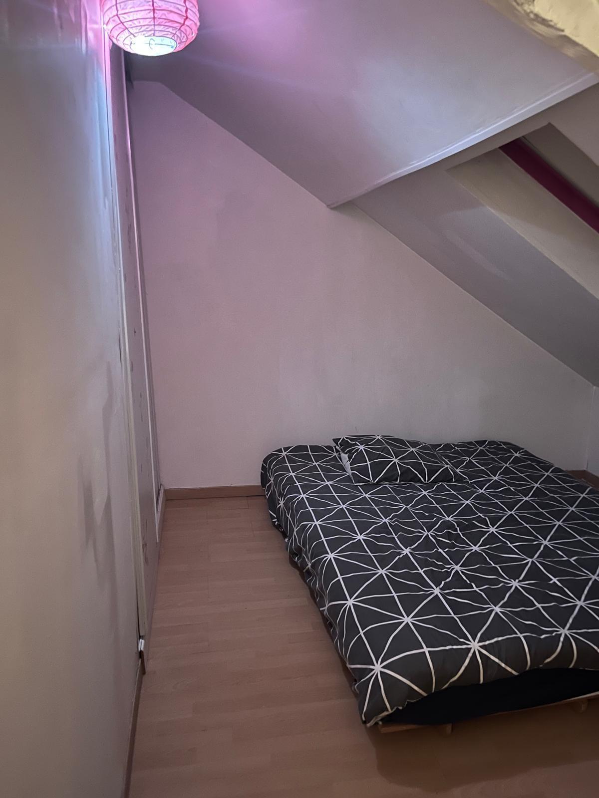 Kolokasie Lille 393356