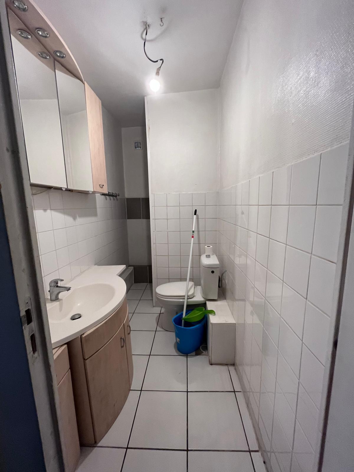 Kolokasie Lille 393356