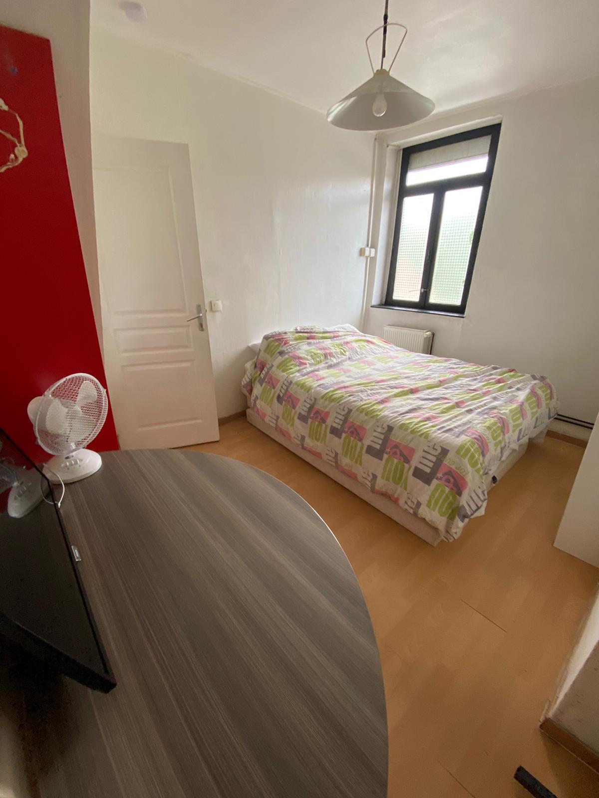 Kolokasie Lille 393356