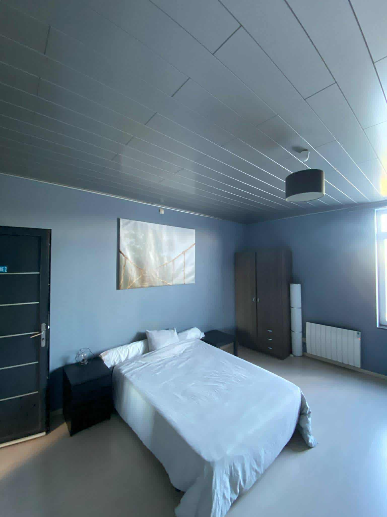 Kolokasie Charleroi 533971