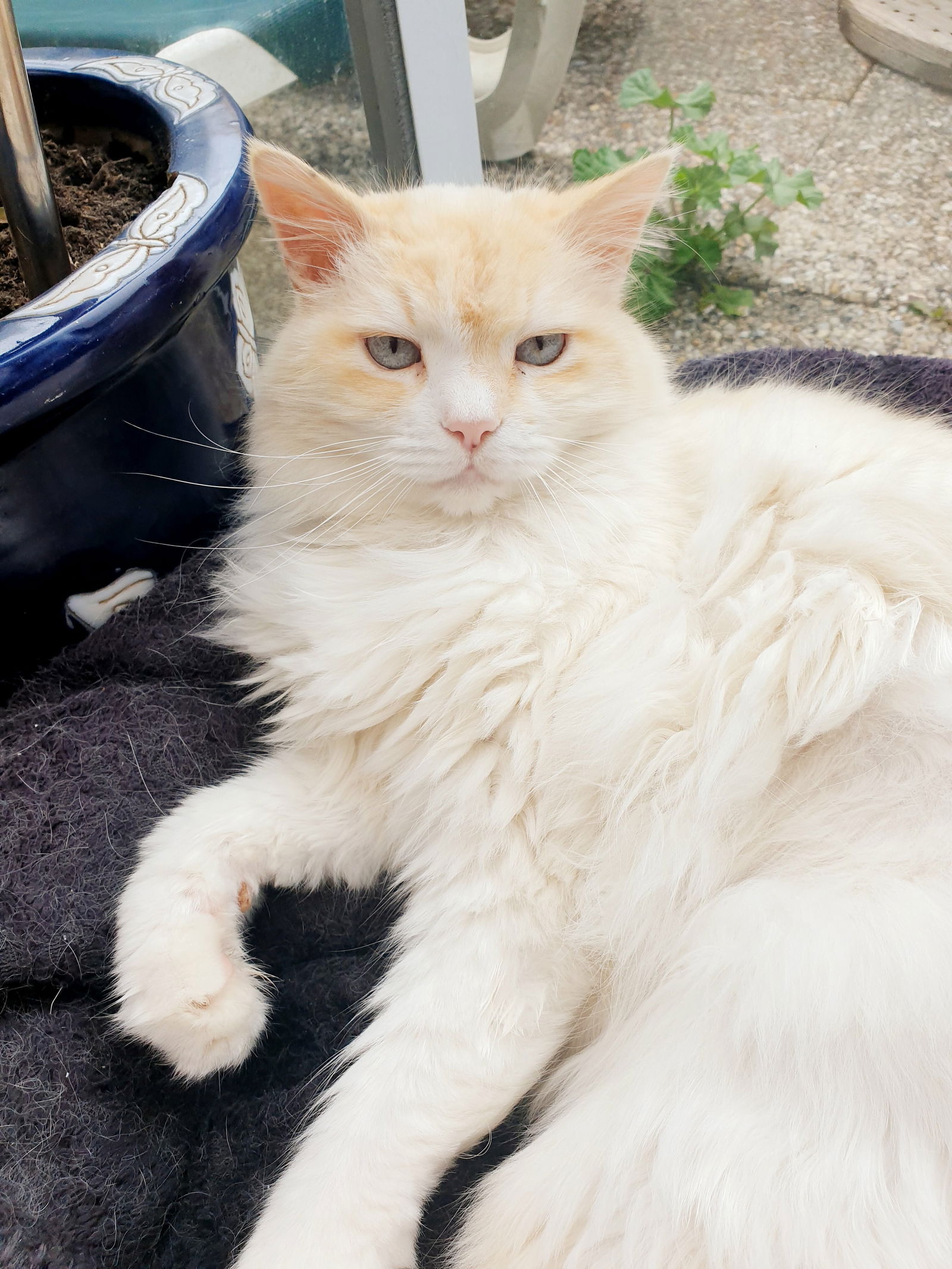 Quedarse En Casa Brest 248596