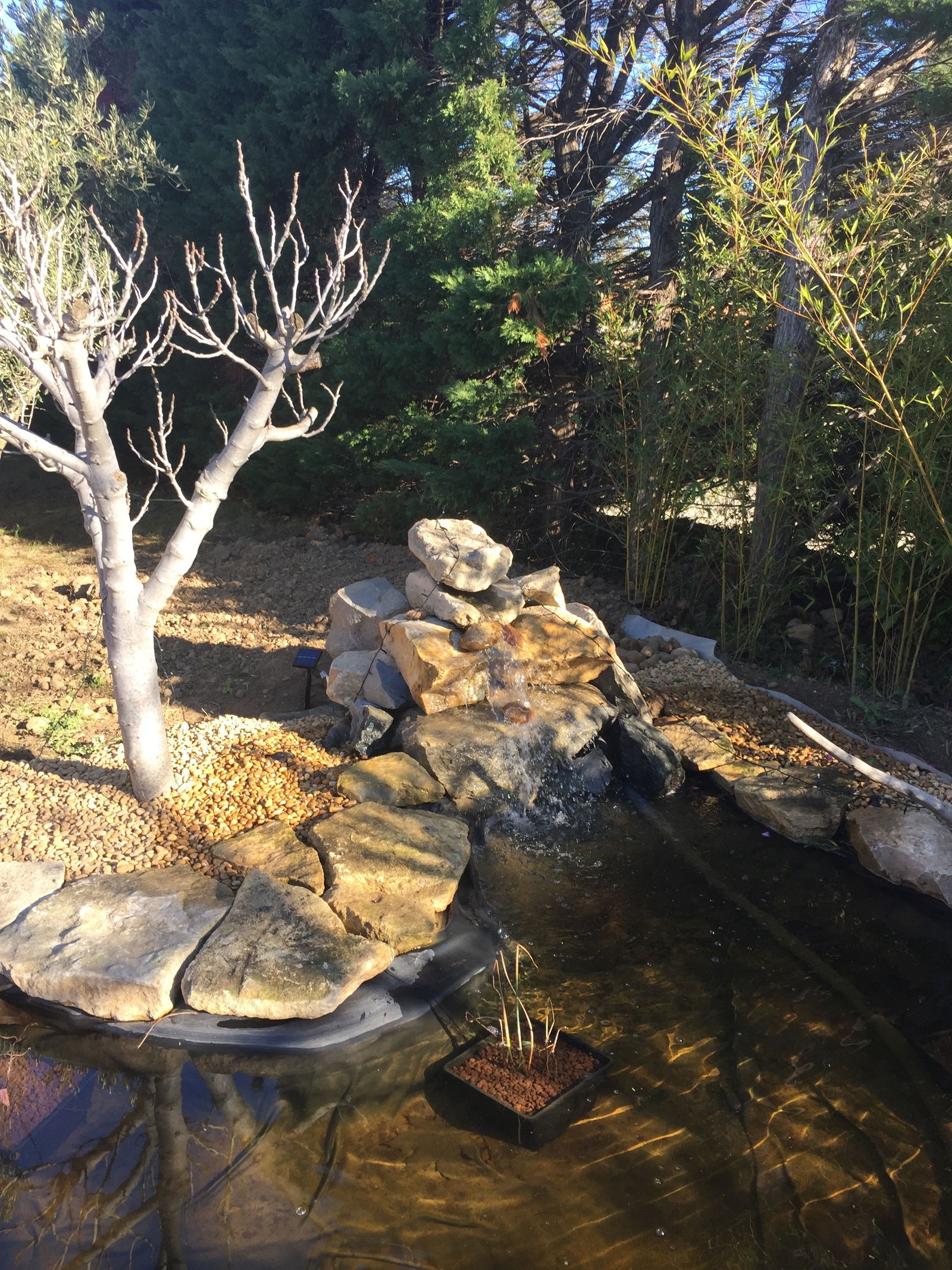 Gastgezin Estézargues 94274