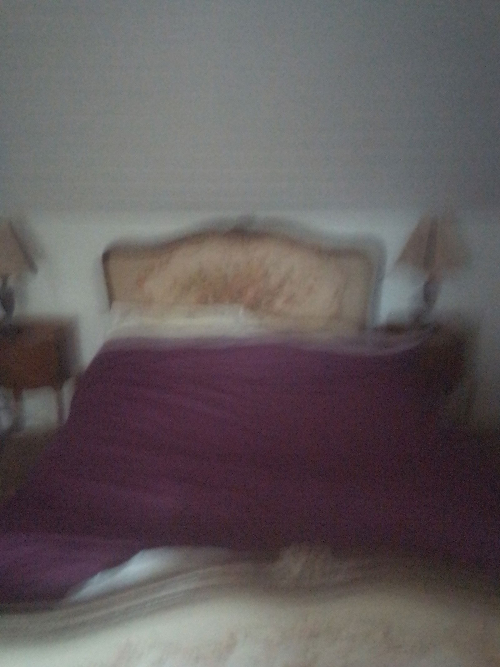 Gastgezin Plouyé 500624