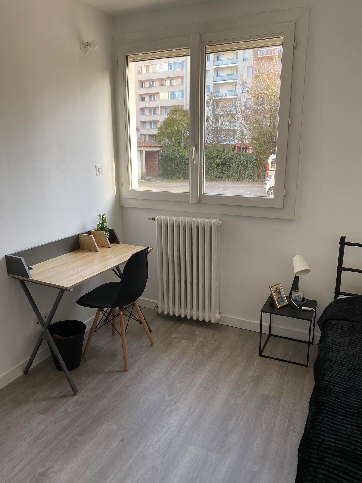 Kolokasie Toulouse 557533