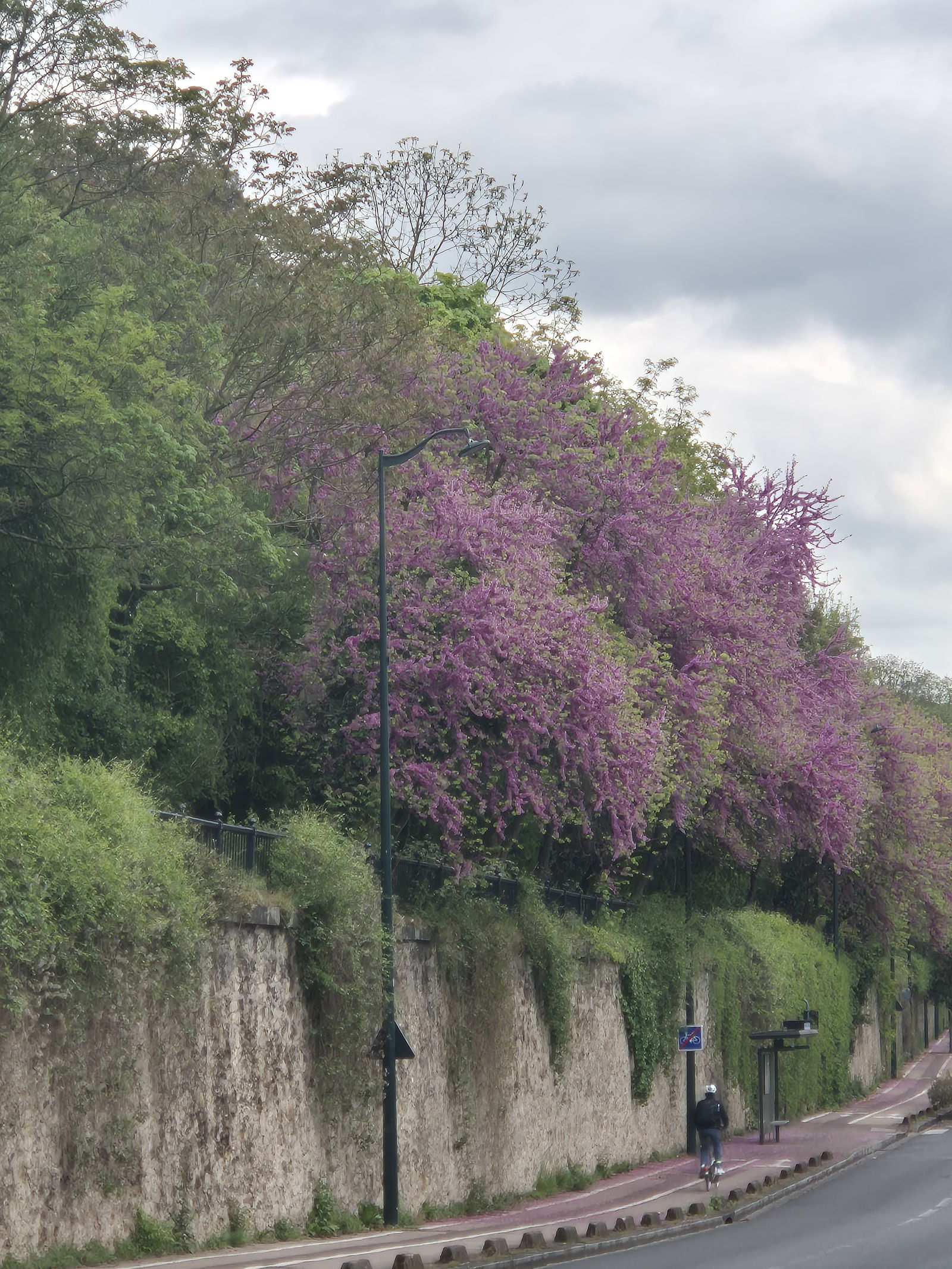 Gehele Woning Saint-Maurice 569097