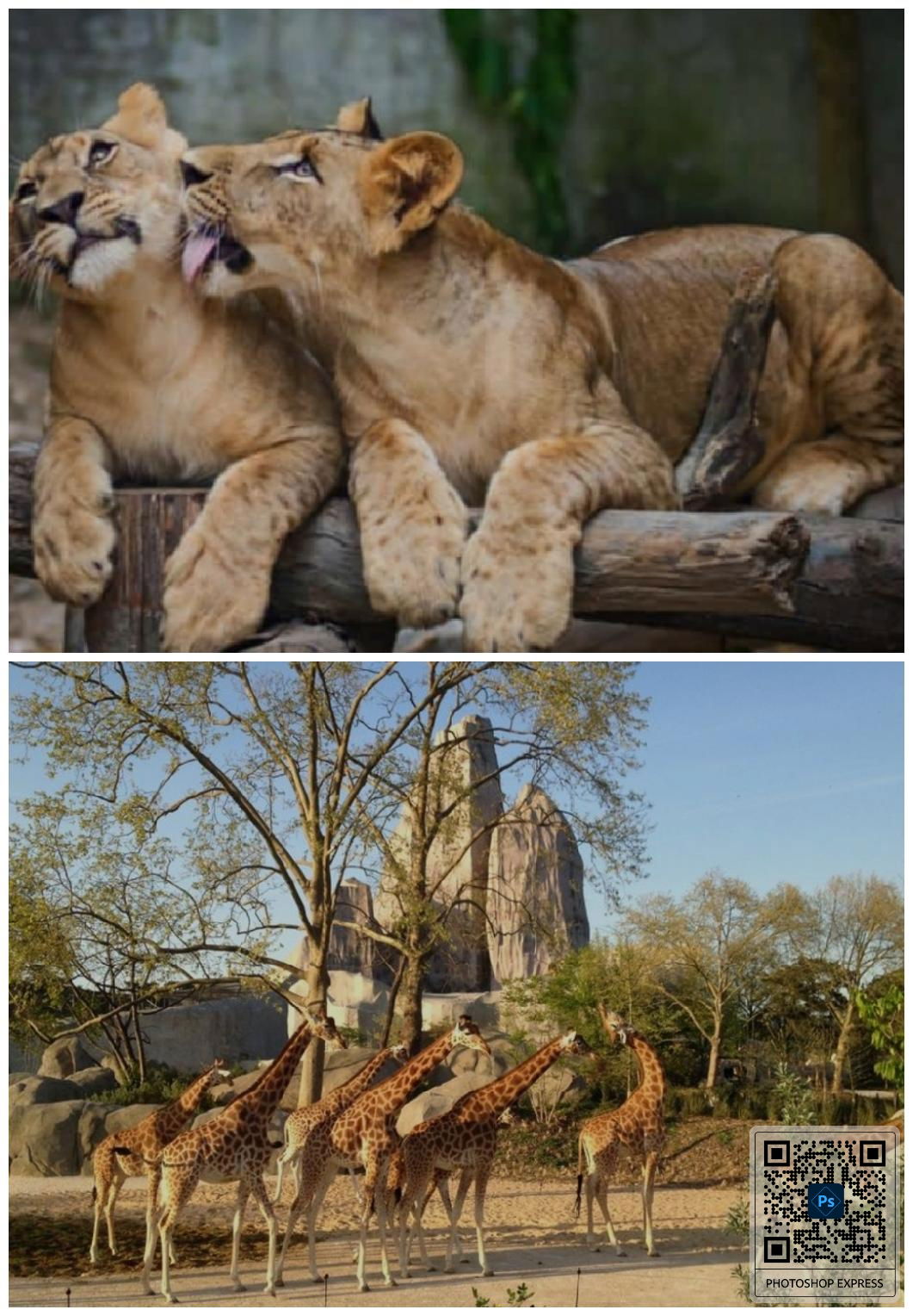 Niezależne Studio Saint-Maurice 460260