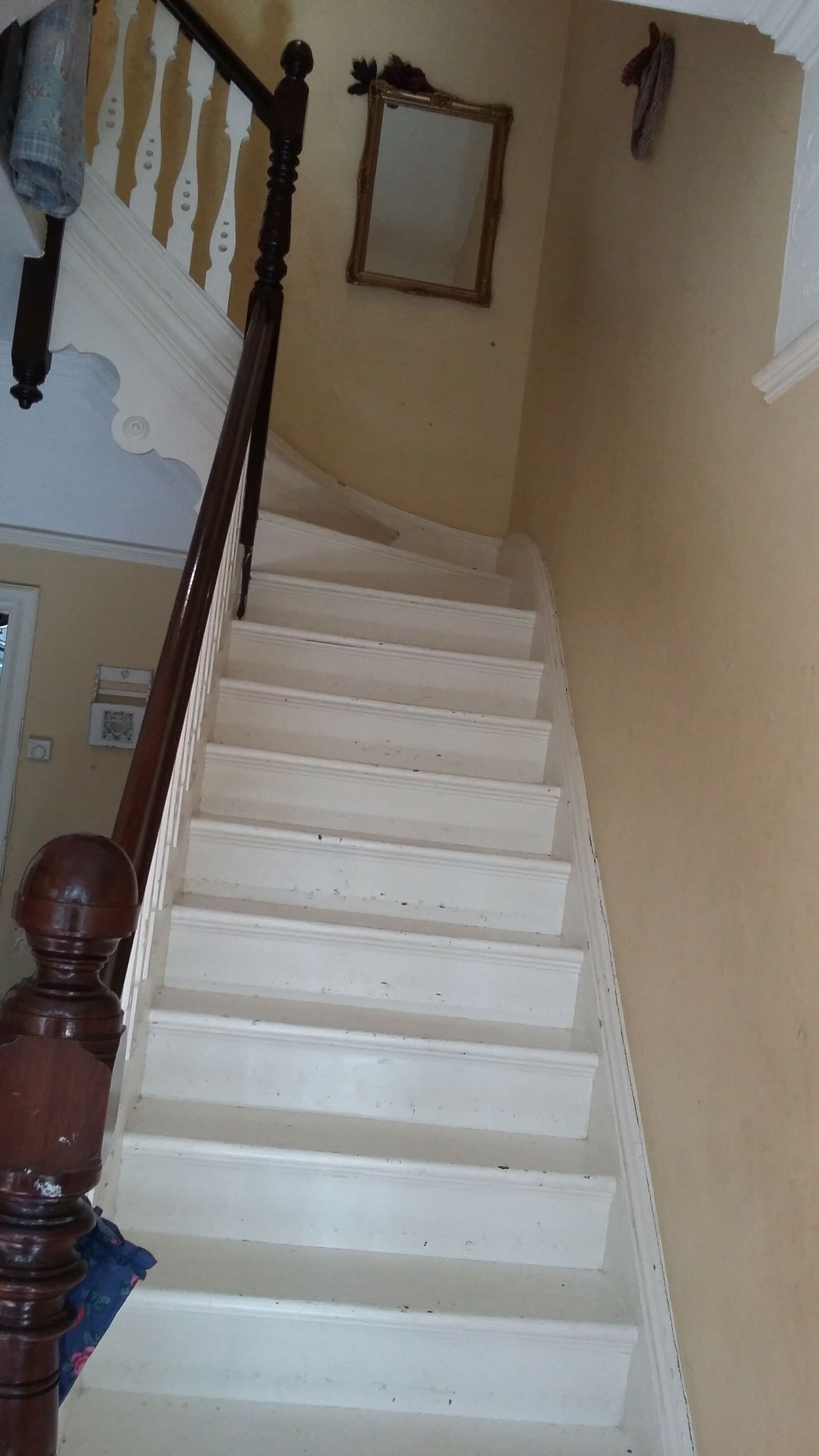 Homestay Darlington 190083