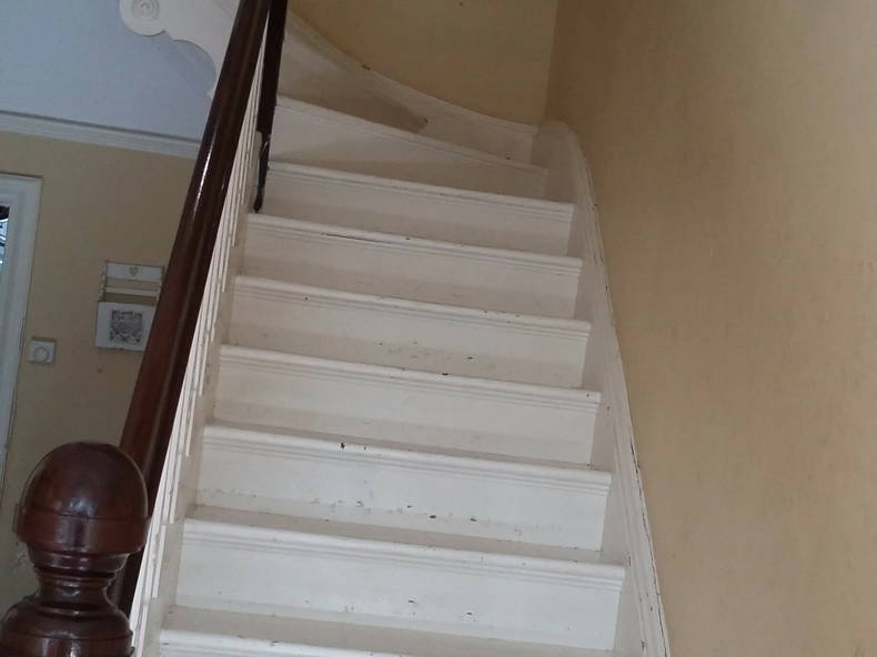 Gastfamilie Darlington 190083-4